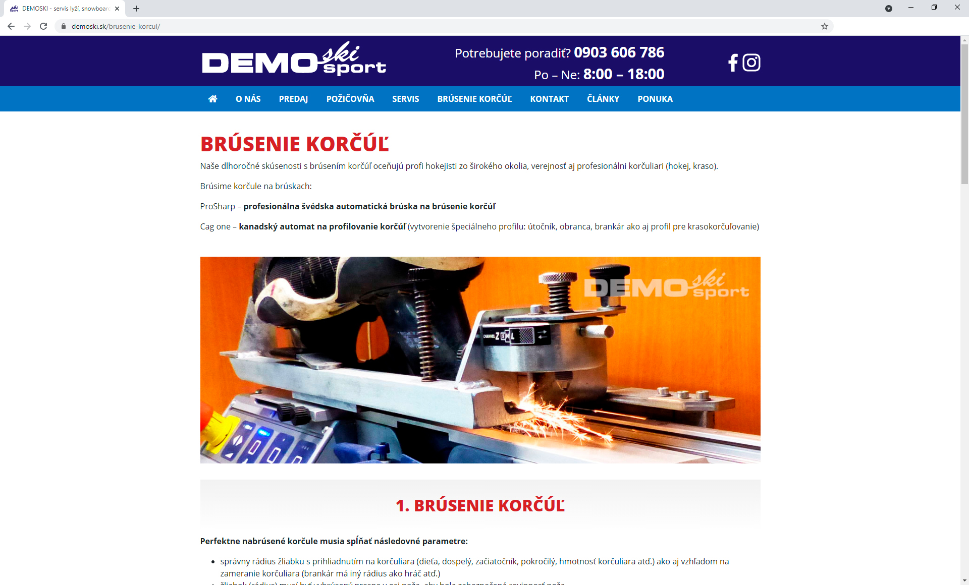 Vytvorenie web stránky demoski.sk